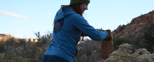 Monument Stewards Aid with Native Seed Collection