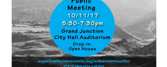 Public Meeting at City Hall