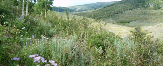 Colorado West Land Trust receives GOCO grant