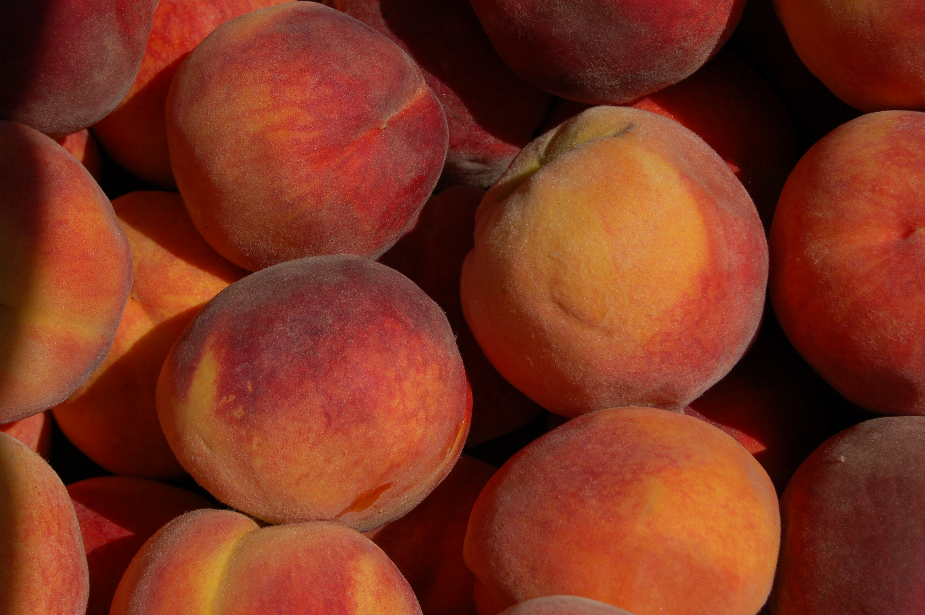 Purchase Palisade Peaches from Preserved Property Colorado West Land