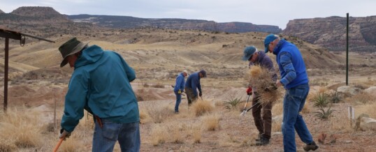 Monument Stewards to begin season with tamarisk removal, native plantings