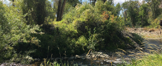 Wetlands conserved in the Smith Fork Valley