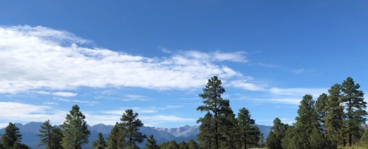 CWLT announces a new wildfire mitigation project, highlighting community-based fire prevention